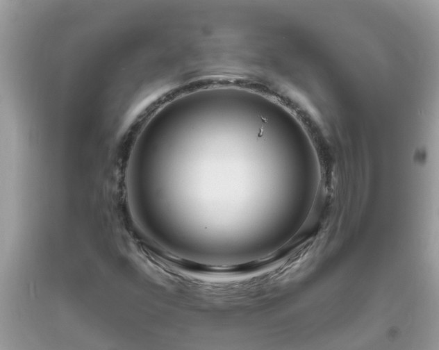 X0000093761352200710231244