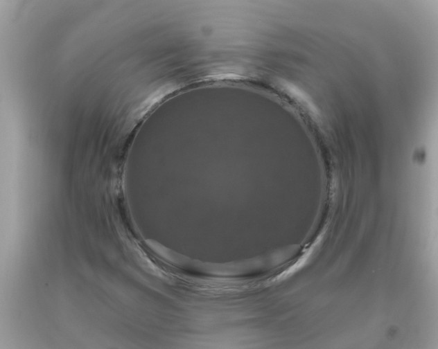 X0000093761353200710231244