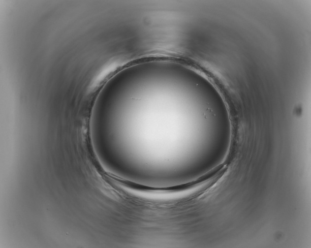 X0000093761355200710231244