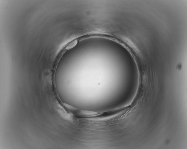 X0000093761356200710231244