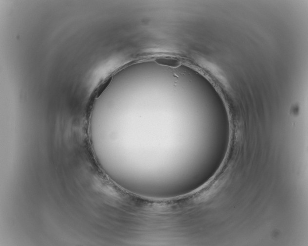 X0000093761357200710231244