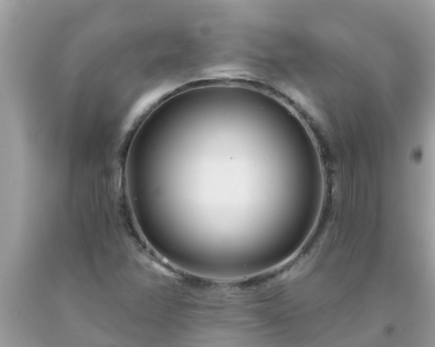 X0000093761358200710231244