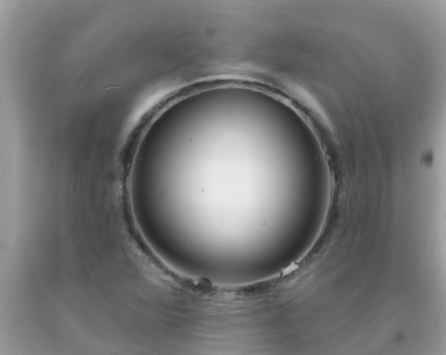 X0000093761360200710231244