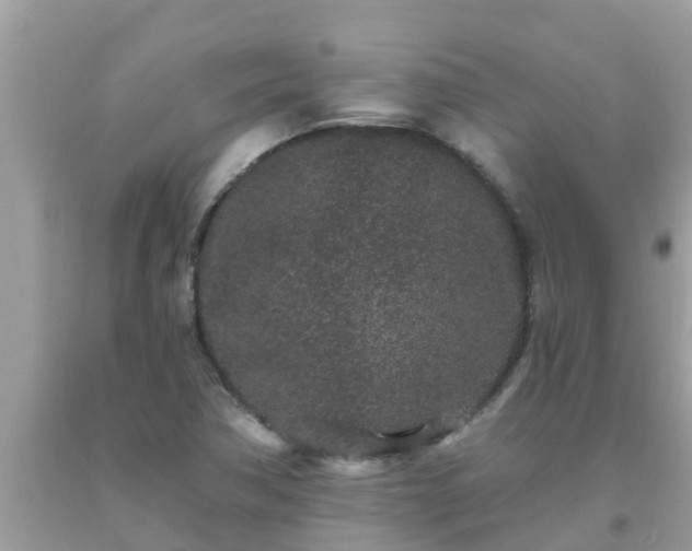 X0000093761362200710231244