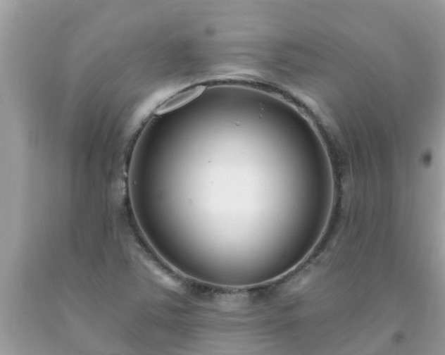 X0000093761363200710231244