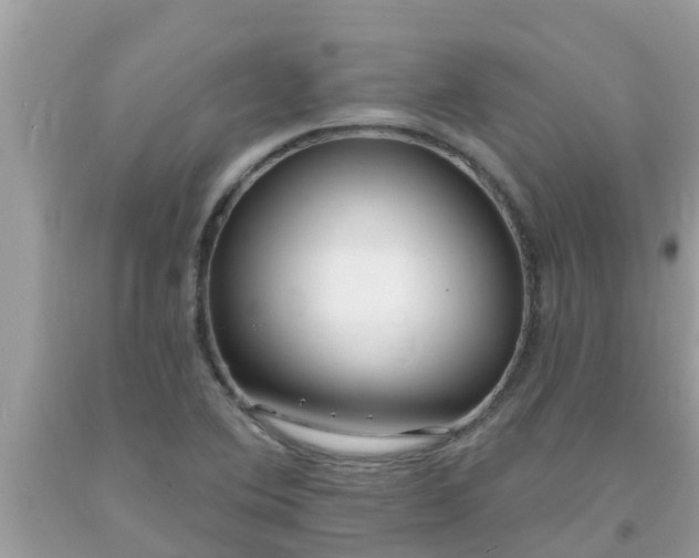 X0000093761364200710231244