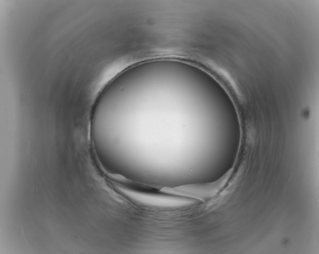 X0000093761365200710231244