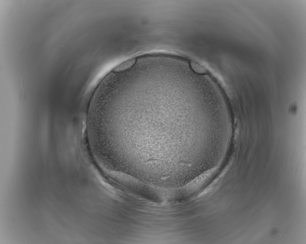 X0000093761367200710231244