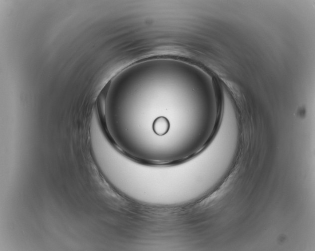 X0000093761369200710231244