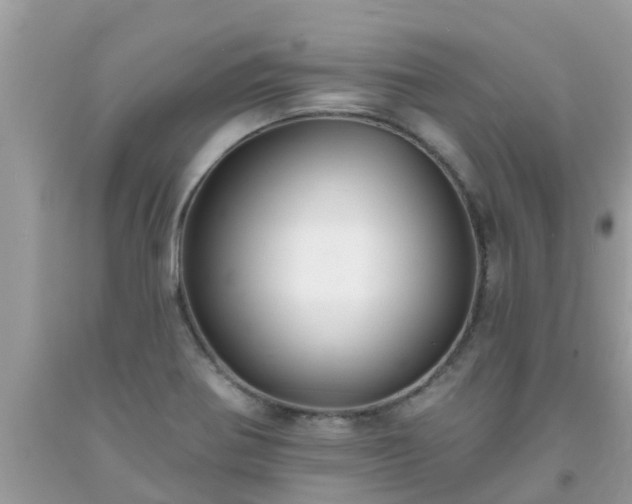 X0000093761370200710231244
