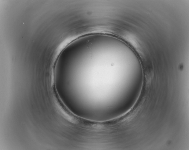 X0000093761371200710231244
