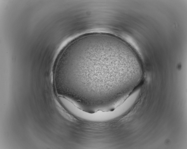 X0000093761372200710231244