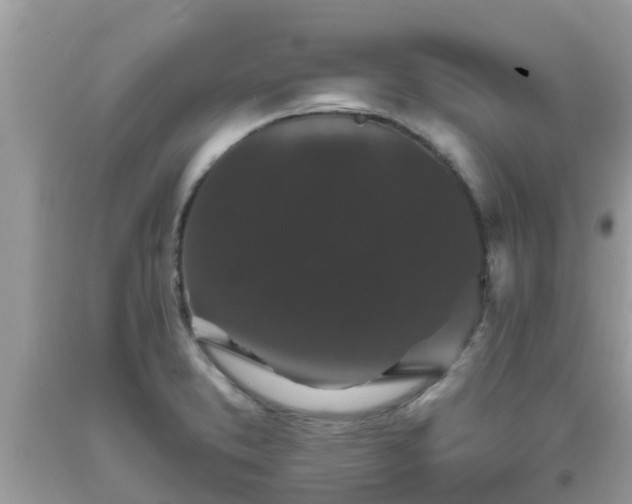 X0000093761373200710231244