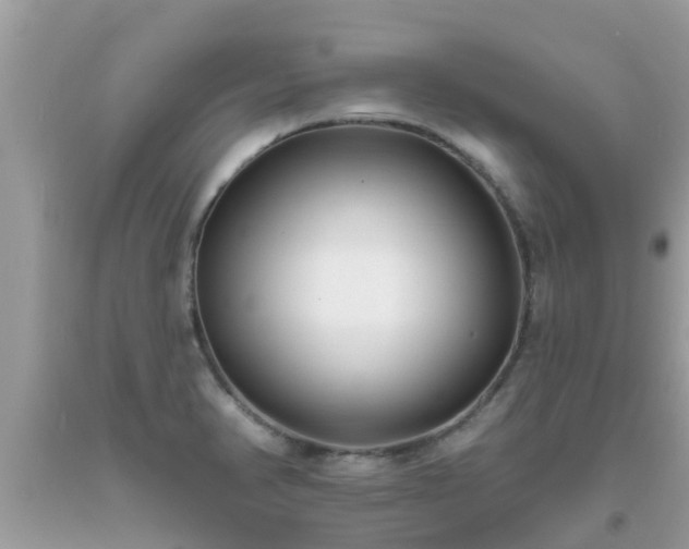 X0000093761374200710231244