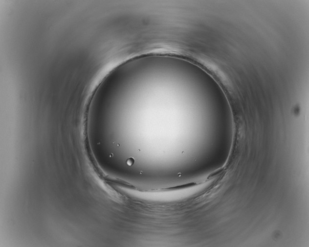 X0000093761375200710231244