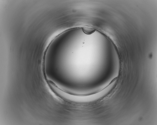 X0000093761379200710231244