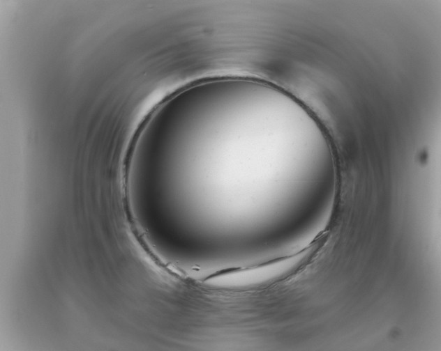 X0000093761380200710231244