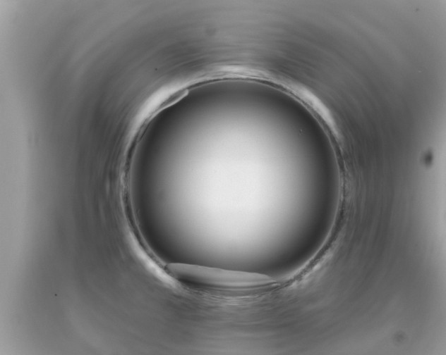 X0000093761381200710231244