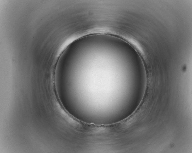 X0000093761382200710231244