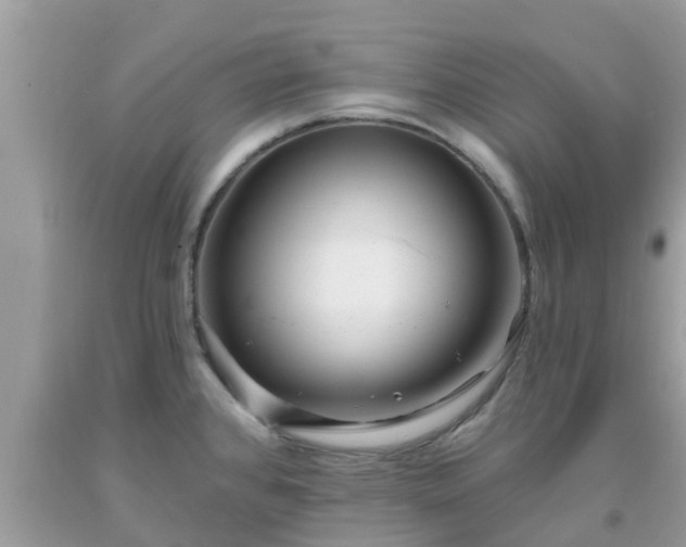 X0000093761384200710231244