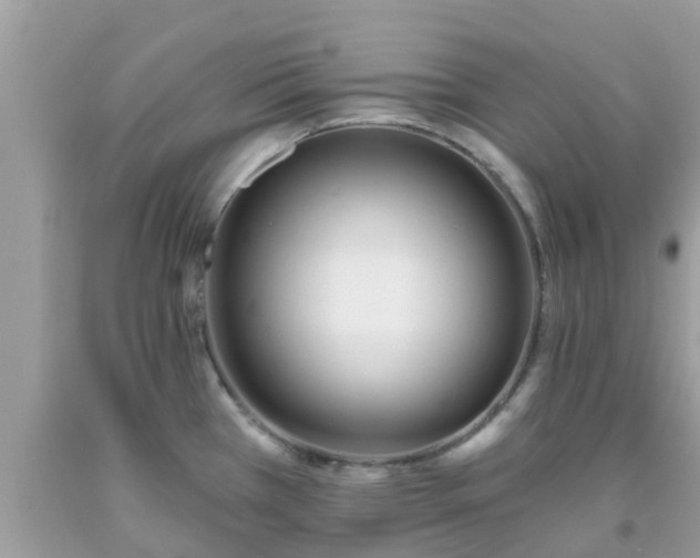 X0000093761385200710231244