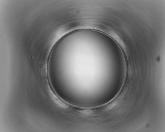 X0000093761388200710231244