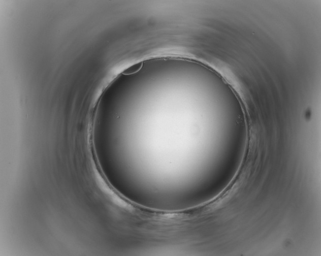 X0000093761390200710231243