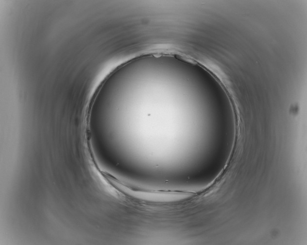 X0000093761392200710231243