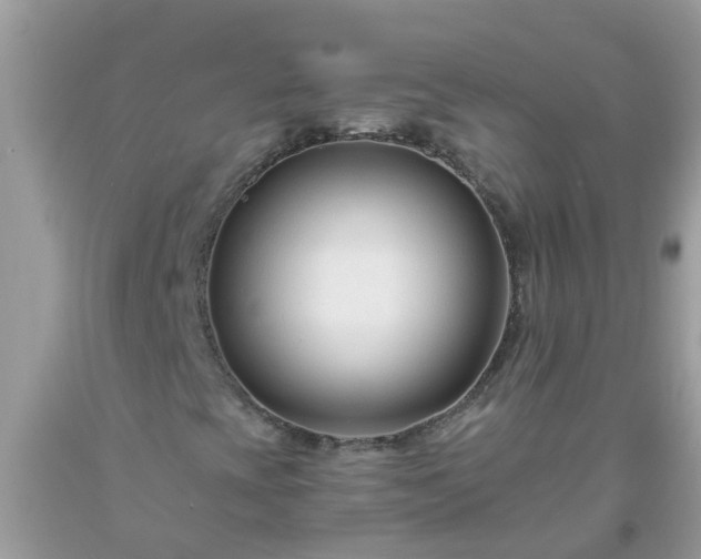 X0000093761393200710231243