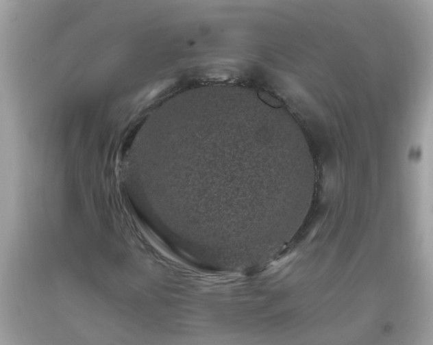 X0000093761394200710231243
