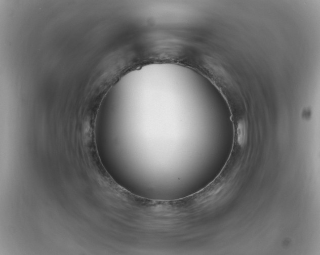 X0000093761395200710231243