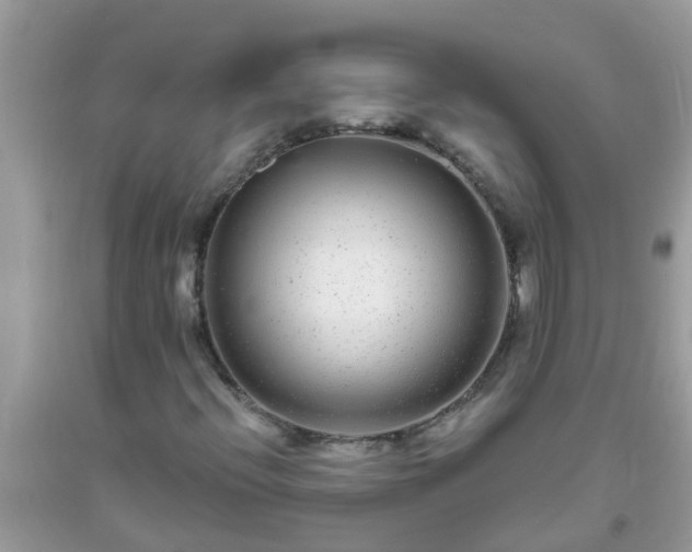 X0000093761396200710231243