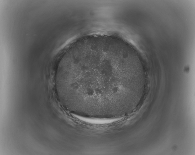 X0000093761399200710231243