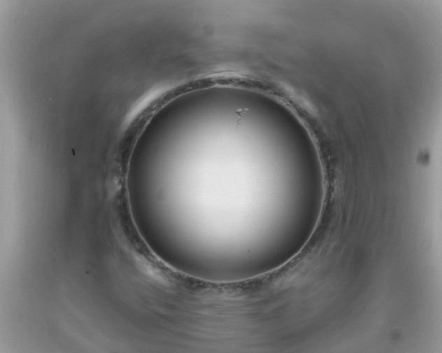 X0000093761400200710231243