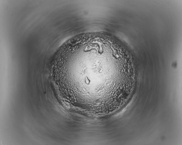 X0000093761401200710231243