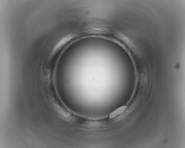 X0000093761402200710231243