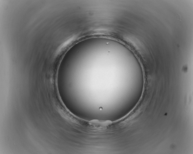 X0000093761403200710231243