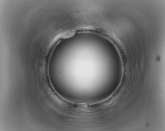X0000093761404200710231243