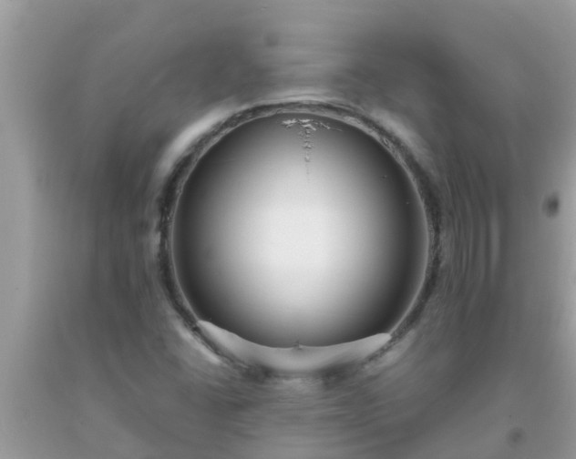 X0000093761406200710231243