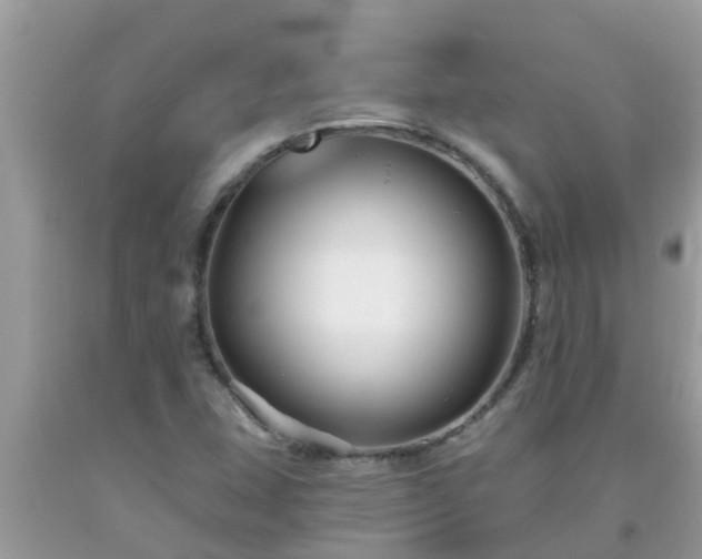 X0000093761407200710231243