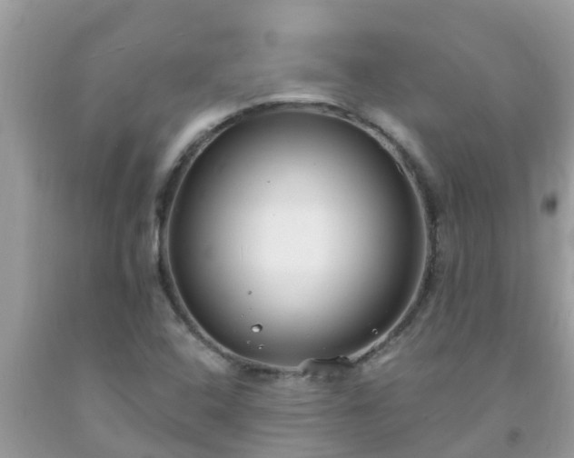 X0000093761408200710231243