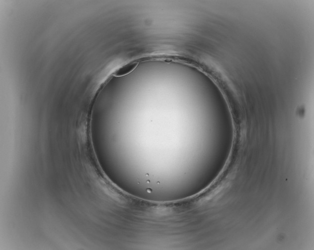X0000093761409200710231243