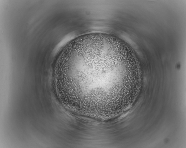 X0000093761411200710231243