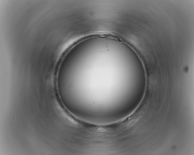 X0000093761412200710231243