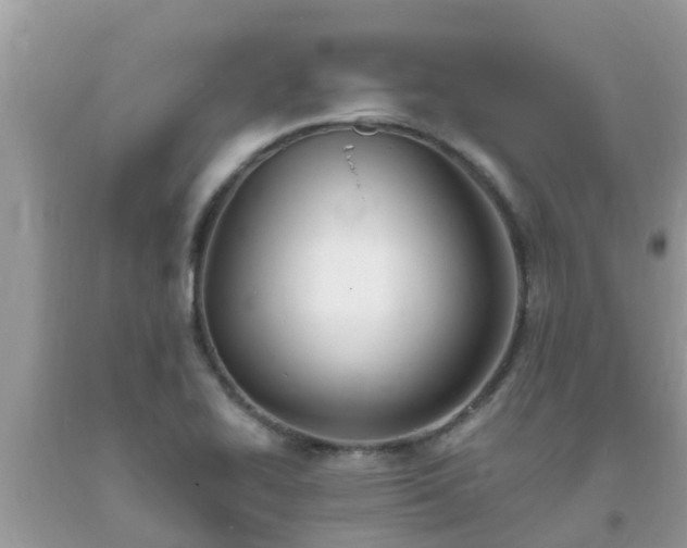 X0000093761414200710231243