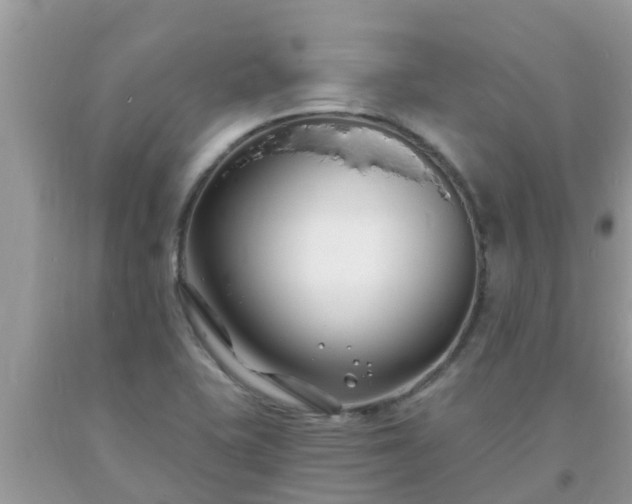 X0000093761415200710231243