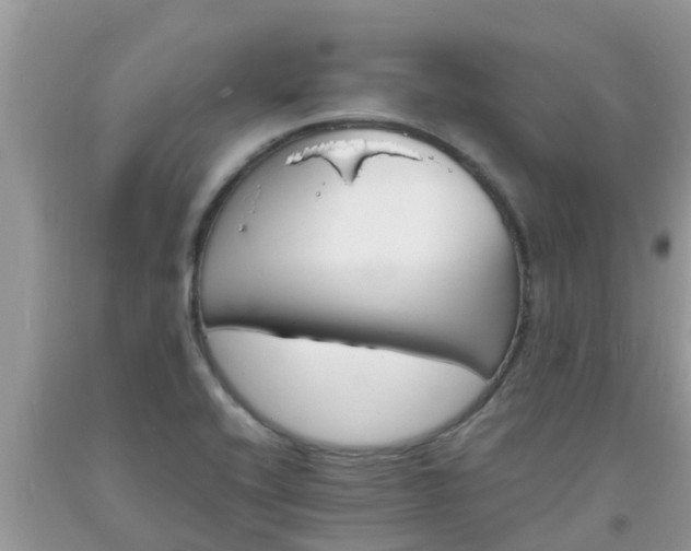 X0000093761416200710231243