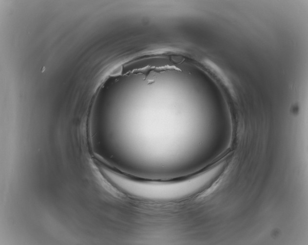 X0000093761417200710231243