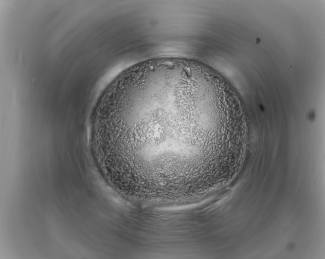 X0000093761419200710231243