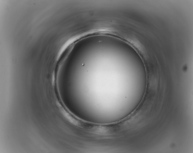 X0000093761420200710231243